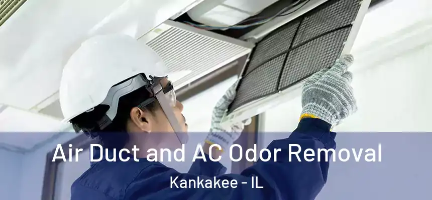  Air Duct and AC Odor Removal Kankakee - IL