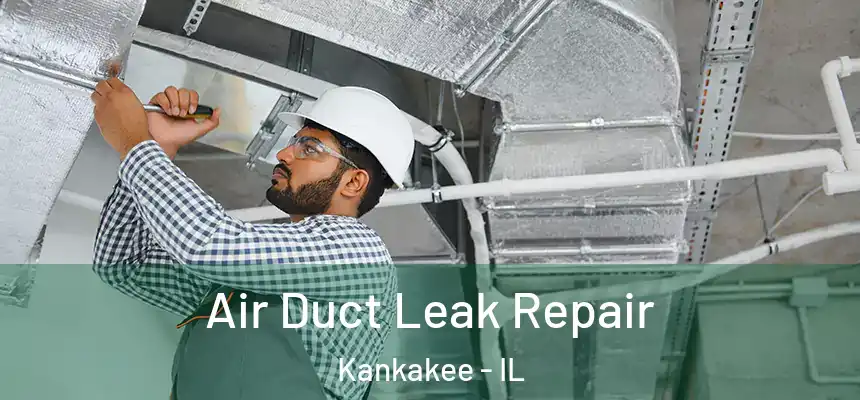  Air Duct Leak Repair Kankakee - IL