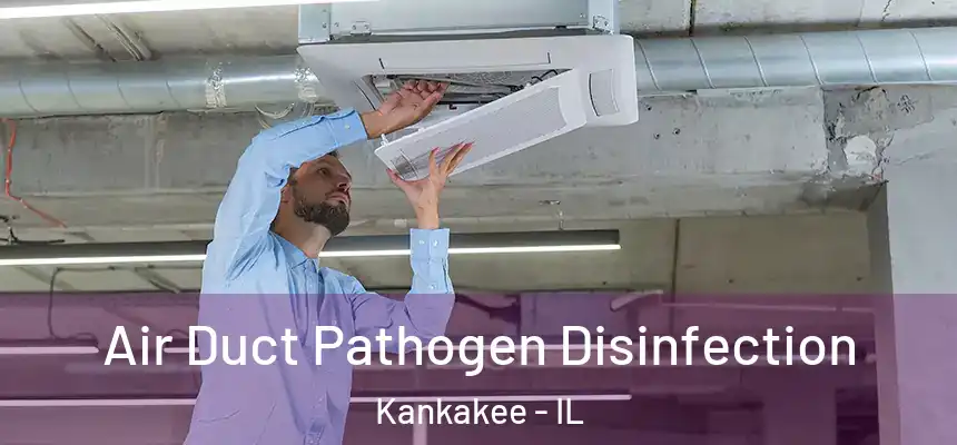 Air Duct Pathogen Disinfection Kankakee - IL