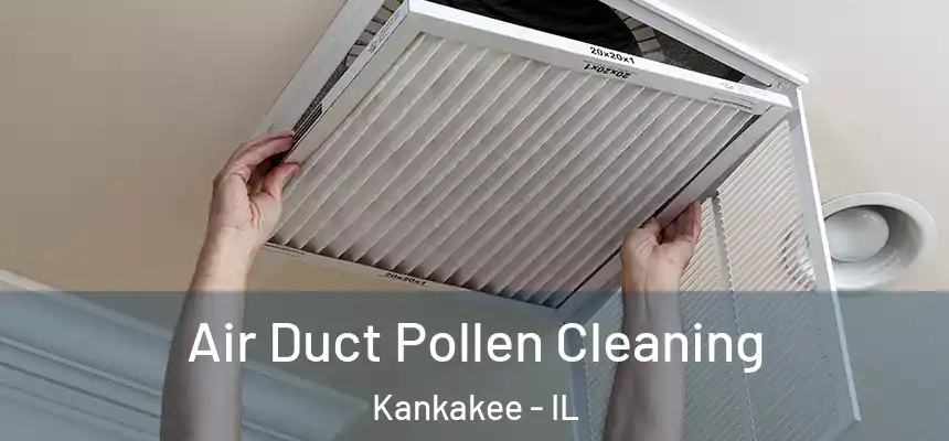 Air Duct Pollen Cleaning Kankakee - IL