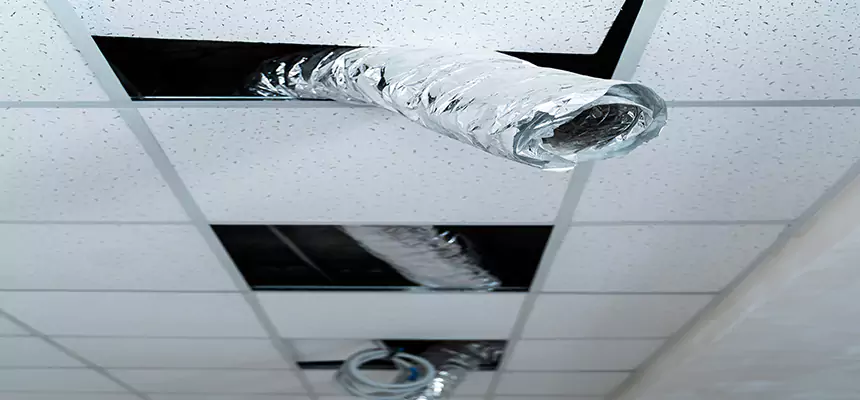 Affordable HVAC Sanitizing After Pest Removal in Kankakee