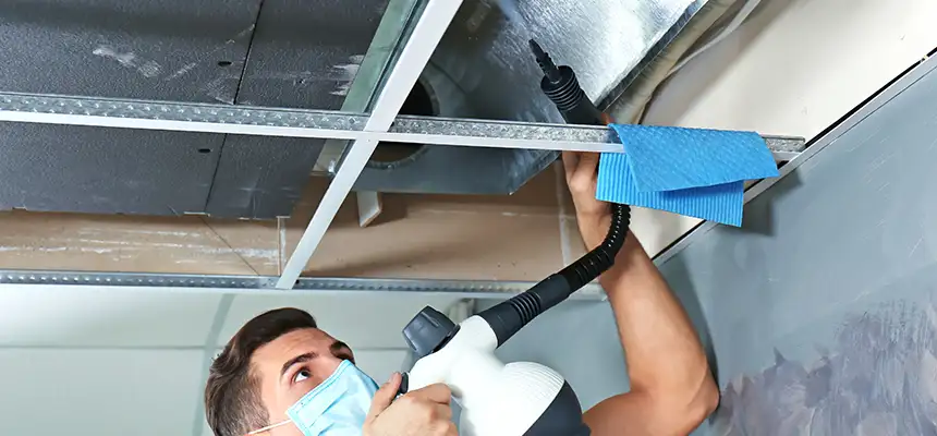 Our Air Duct Rodent Removal Services in Kankakee, IL