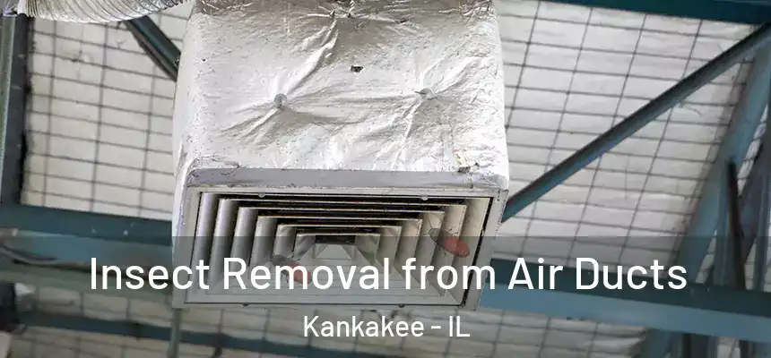  Insect Removal from Air Ducts Kankakee - IL