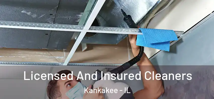  Licensed And Insured Cleaners Kankakee - IL