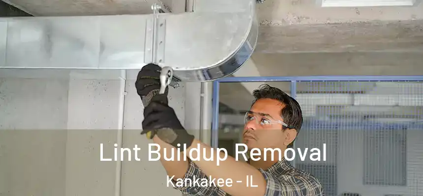 Lint Buildup Removal Kankakee - IL
