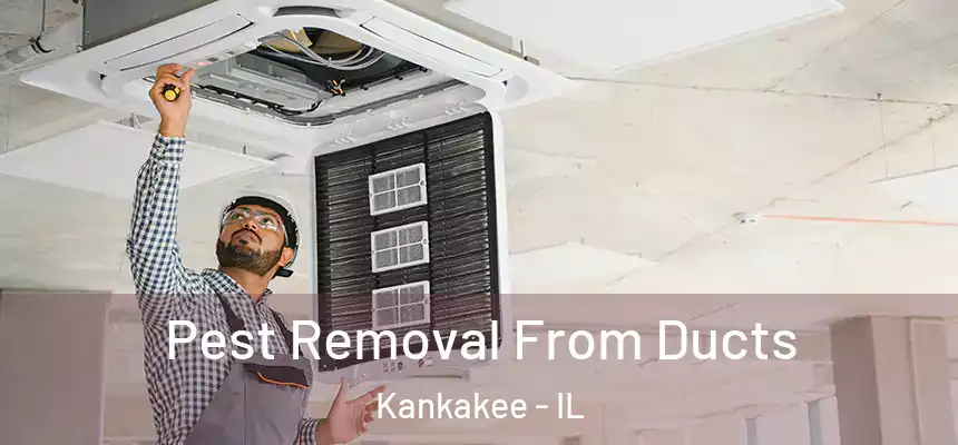 Pest Removal From Ducts Kankakee - IL