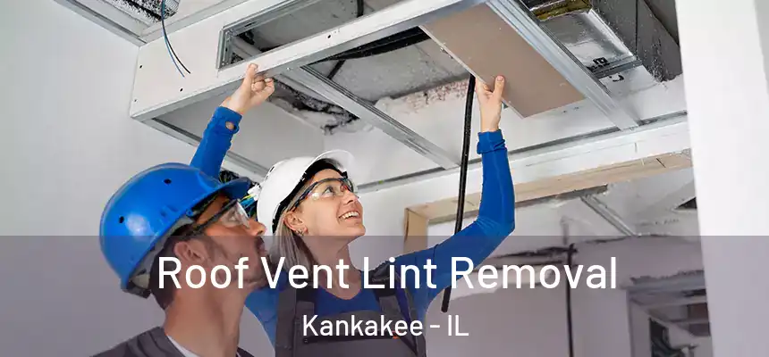  Roof Vent Lint Removal Kankakee - IL