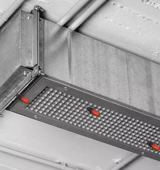 About Air Duct Cockroach Removal in Kankakee, IL