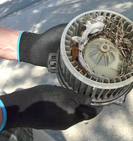 About Air Duct Mice Removal in Kankakee, IL