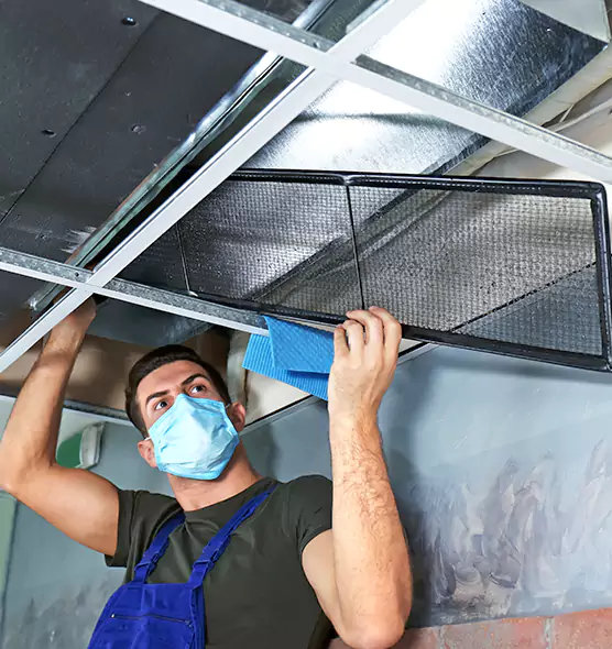 Professional Air Duct Pollen Cleaning in Kankakee, IL