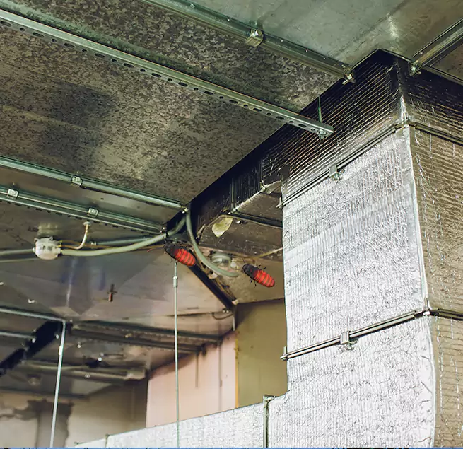 Why Homeowners & Businesses Trust Us Kankakee, IL?